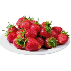 Clearance DecoWoerner Erdbeeren Lebensmittel-Attrappen 24 Stück rot