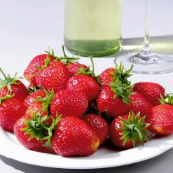 Clearance DecoWoerner Erdbeeren Lebensmittel-Attrappen 24 Stück rot