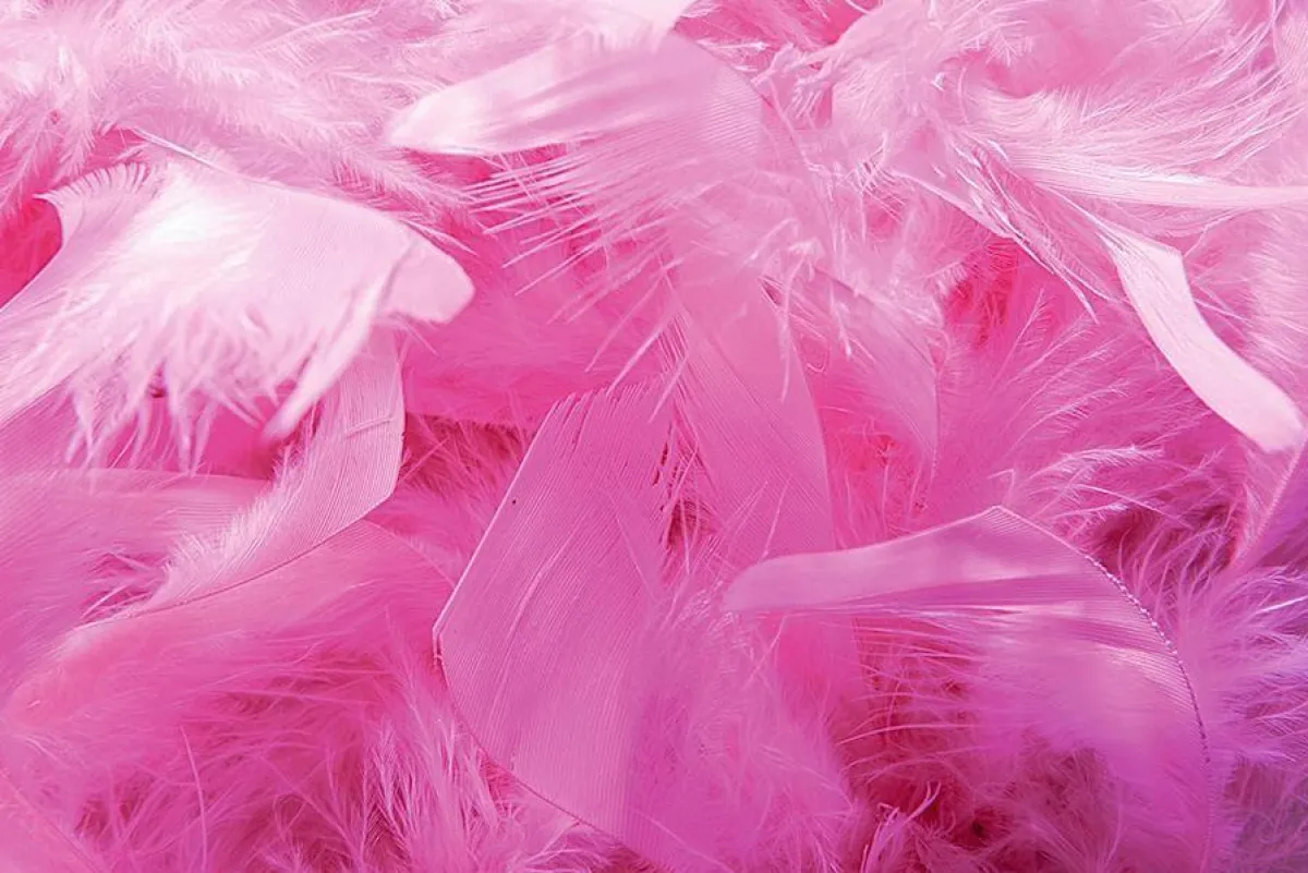 Clearance DecoWoerner Federboa, , 180 Cm rosa