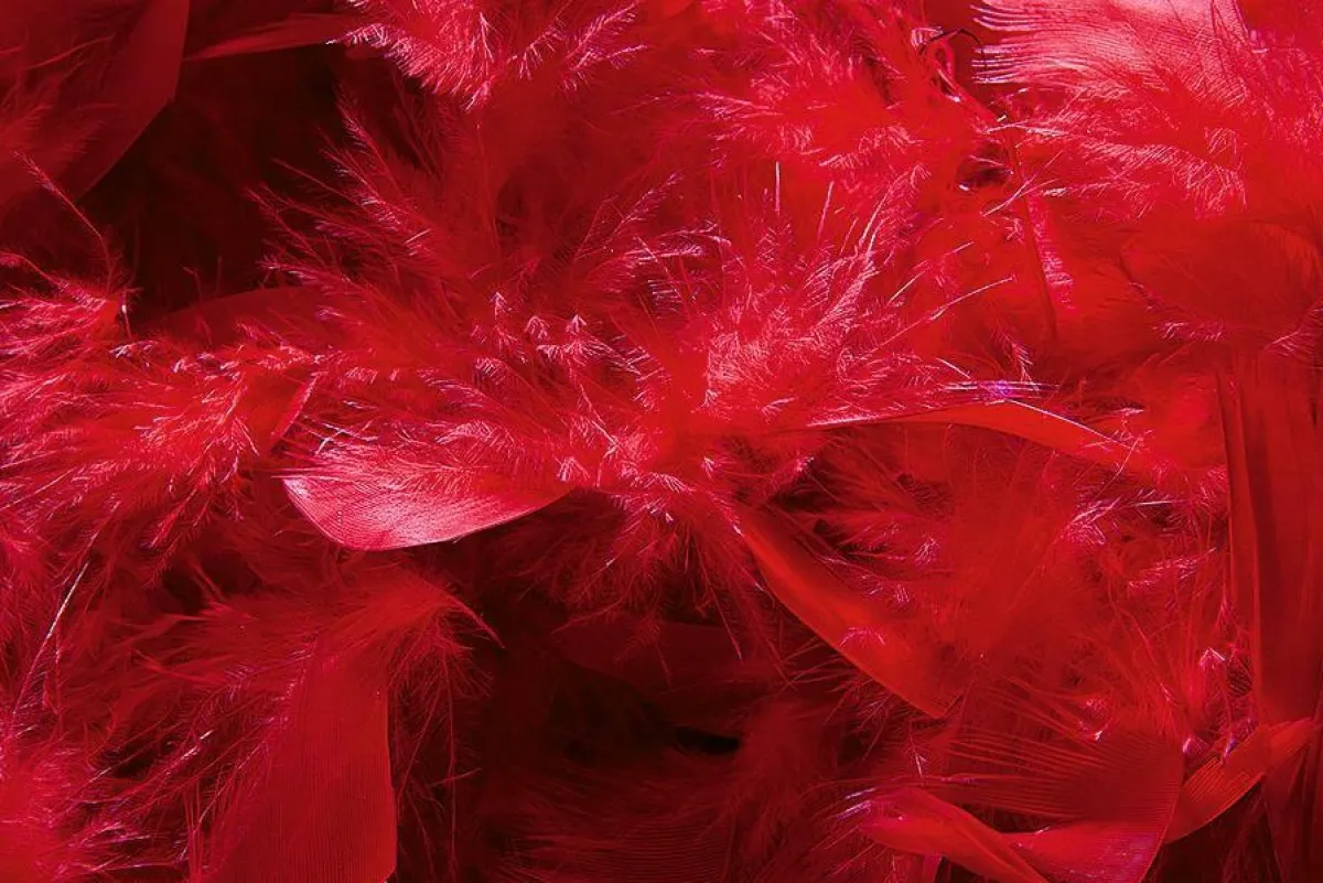 Clearance DecoWoerner Federboa, , 180 Cm rot