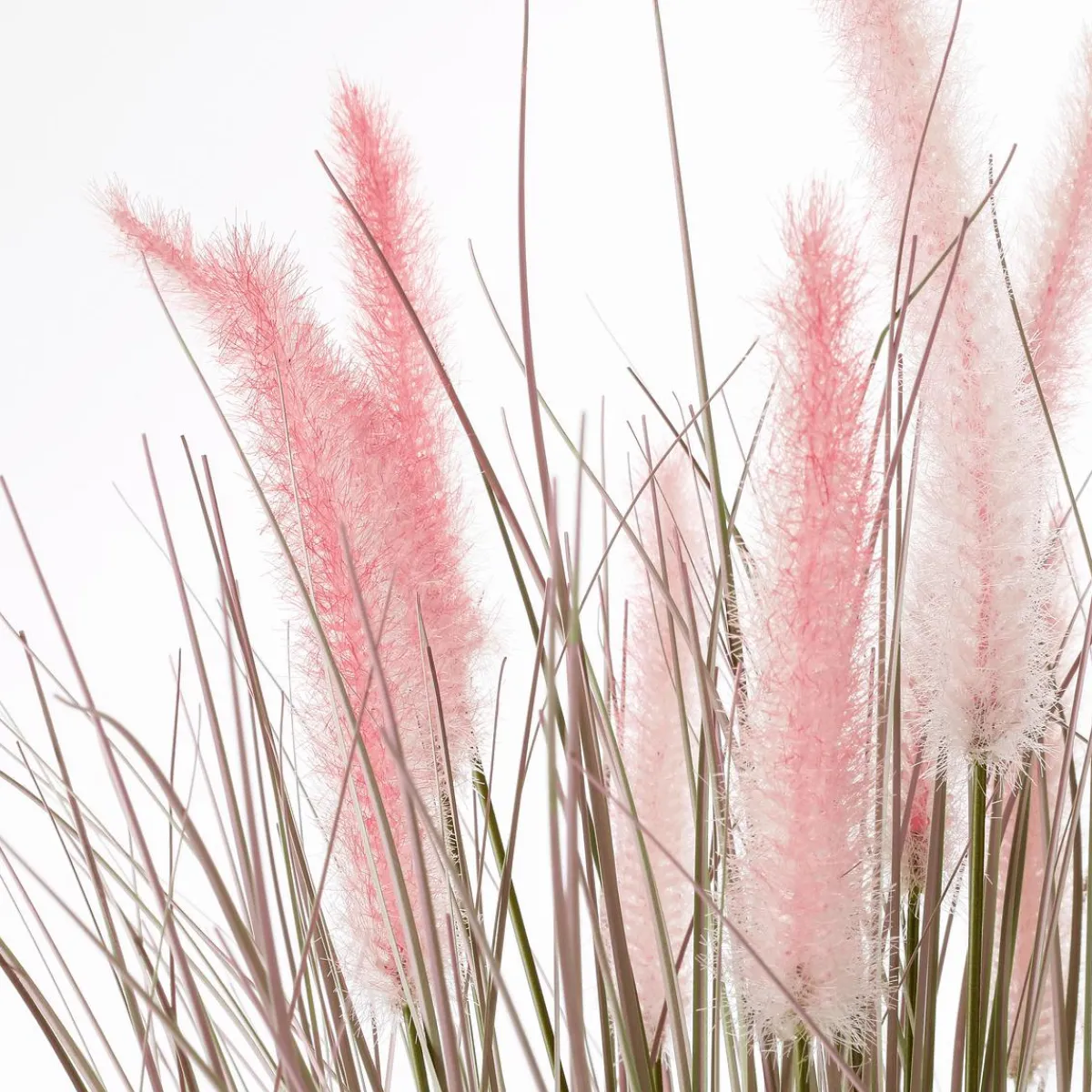 Discount DecoWoerner Feines Deko-Federborstengras In Silber- Im Edlen Zinktopf 70 Cm rosa