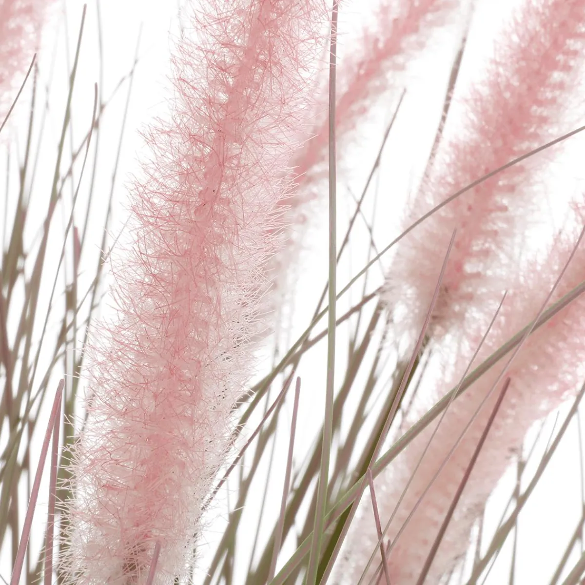 Discount DecoWoerner Feines Deko-Federborstengras In Silber- Im Edlen Zinktopf 70 Cm rosa