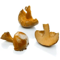 New DecoWoerner Gebratene Champignon-Hälften Lebensmittel-Attrappen braun