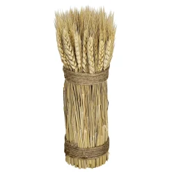 DecoWoerner Getrocknete Weizenhalme 2-fach Gebunden 8 X 28 Cm gelb