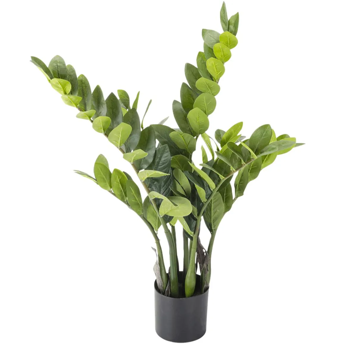 New DecoWoerner Glücksfeder Zamioculcas Kunstpflanze Im Topf 70 Cm grün