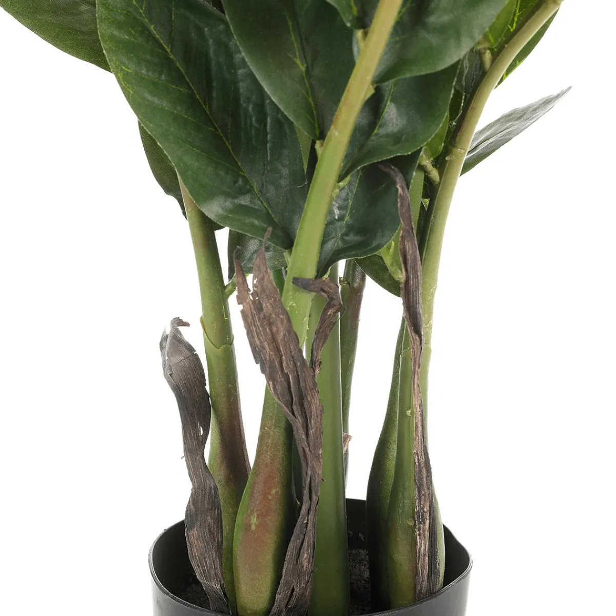 New DecoWoerner Glücksfeder Zamioculcas Kunstpflanze Im Topf 70 Cm grün