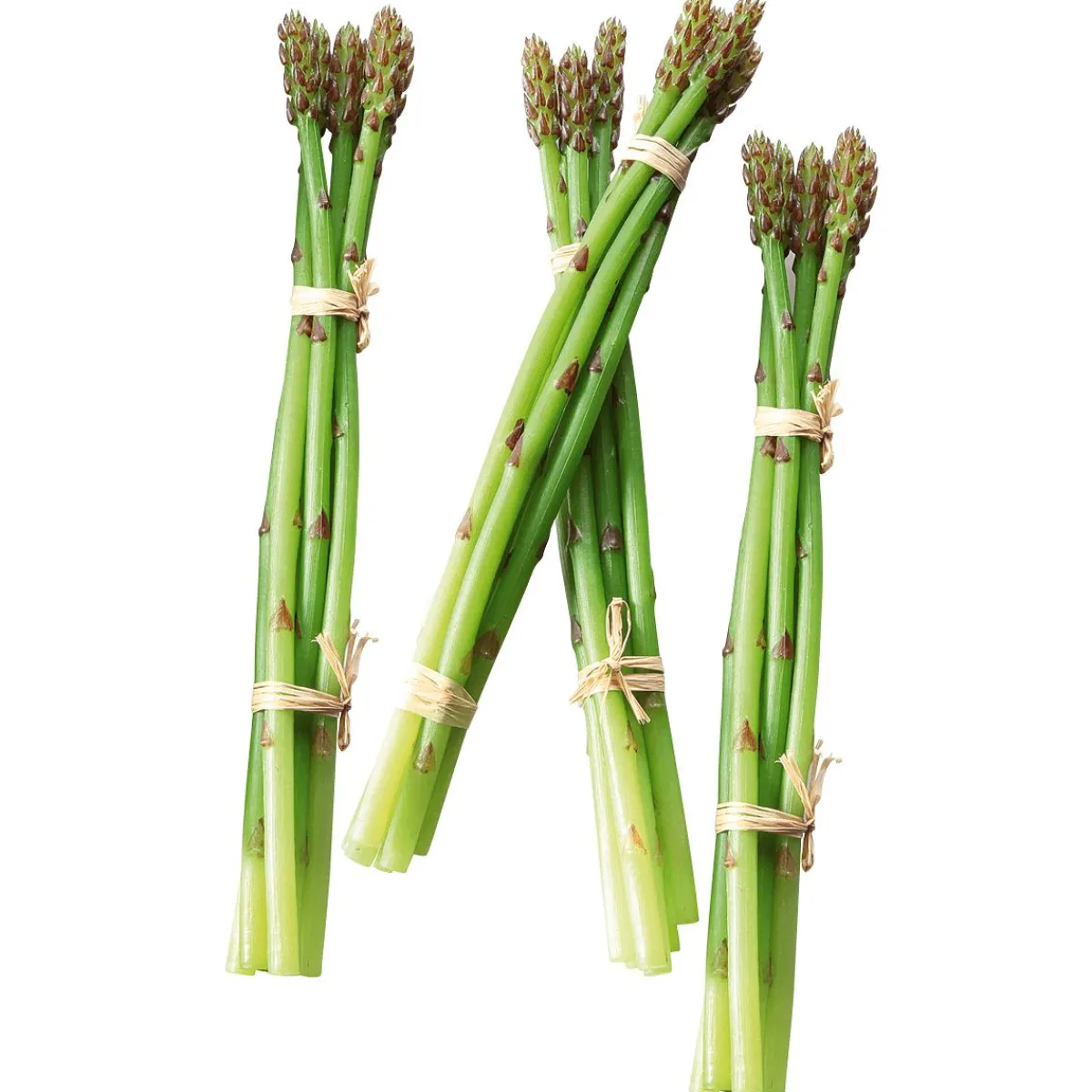 Hot DecoWoerner spargel Lebensmittel-Attrappe, Pack à 4 Stück grün