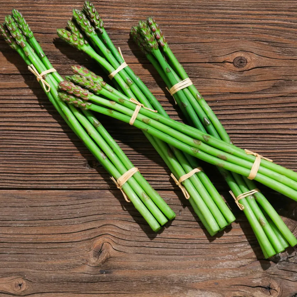 Hot DecoWoerner spargel Lebensmittel-Attrappe, Pack à 4 Stück grün