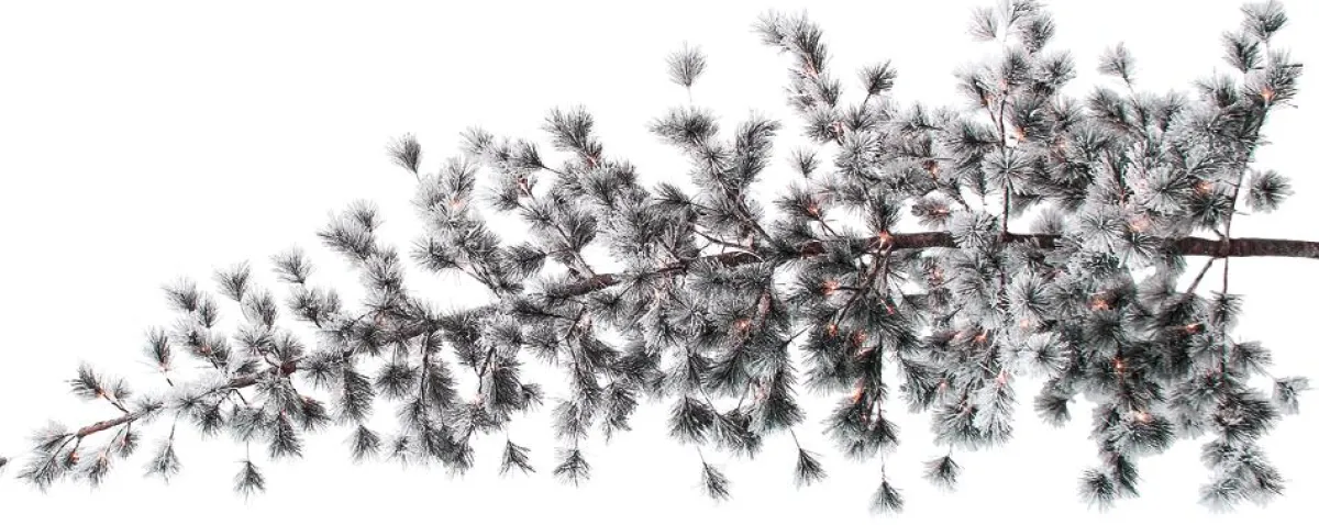 New DecoWoerner Hängender, Künstlicher Weihnachtsbaum Kiefer Mit Beeisten Nadeln Und LED 300 Cm weiß