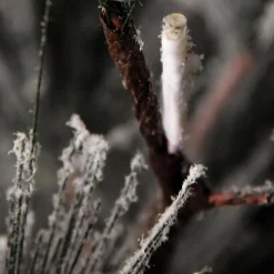 New DecoWoerner Hängender, Künstlicher Weihnachtsbaum Kiefer Mit Beeisten Nadeln Und LED 300 Cm weiß