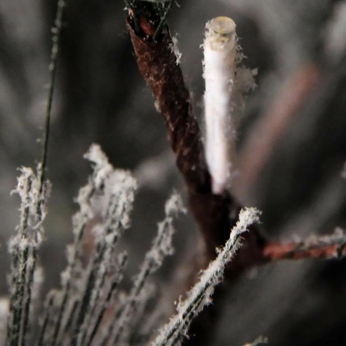 New DecoWoerner Hängender, Künstlicher Weihnachtsbaum Kiefer Mit Beeisten Nadeln Und LED 300 Cm weiß