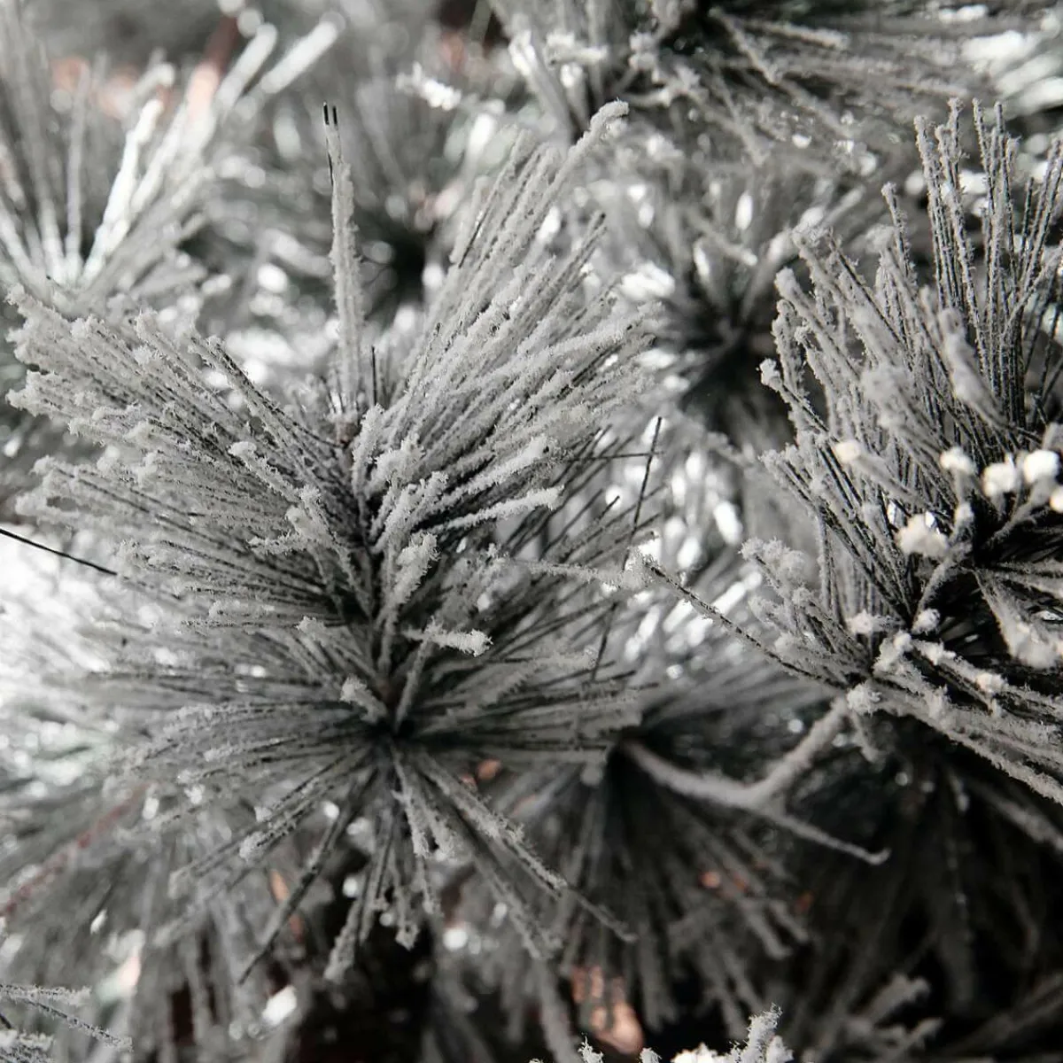 New DecoWoerner Hängender, Künstlicher Weihnachtsbaum Kiefer Mit Beeisten Nadeln Und LED 300 Cm weiß