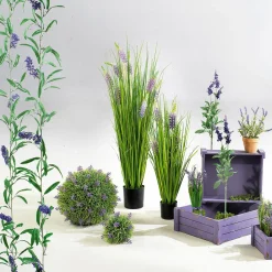Sale DecoWoerner Holzkisten-Satz, Lila violett