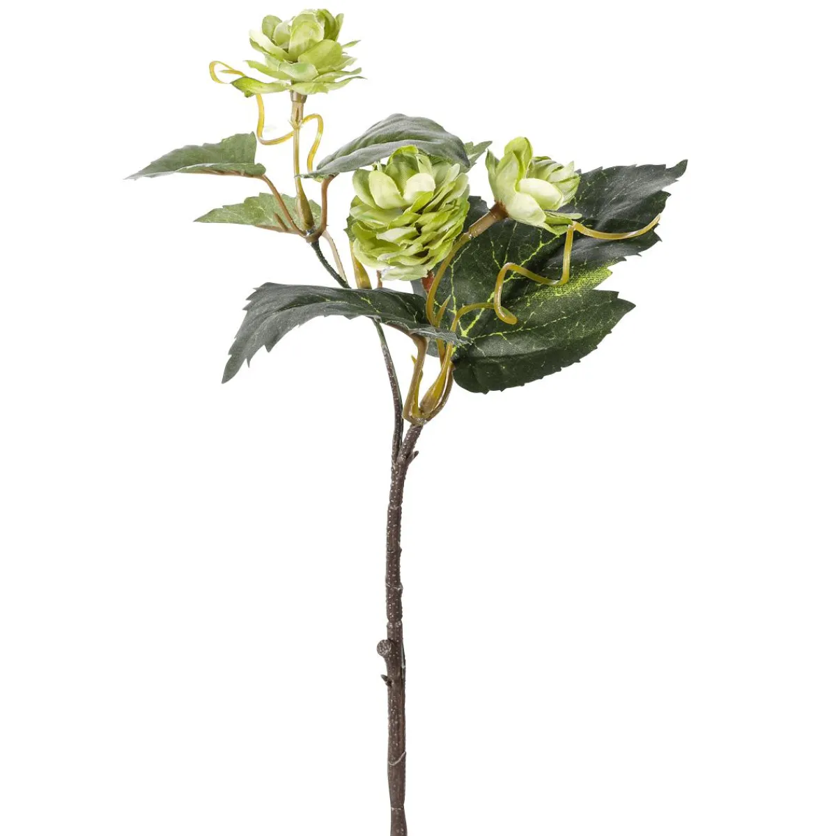 Discount DecoWoerner Hopfen-Kunstzweige, Pack à 3 Stück grün