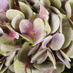Discount DecoWoerner Hortensien-Kunstblumenstrauß Lila, 60 Cm violett