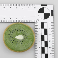 Best DecoWoerner Kiwi Scheiben Lebensmittel-Attrappe, 5 Stück grün