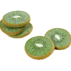 Best DecoWoerner Kiwi Scheiben Lebensmittel-Attrappe, 5 Stück grün