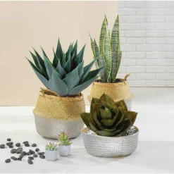 Online DecoWoerner Künstliche Agave Parryi Ohne Topf, 38 Cm Ø grün