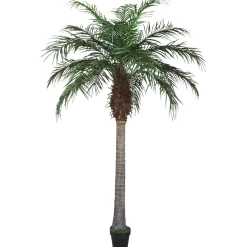 Outlet DecoWoerner Künstliche Areca Palme 180 Cm grün