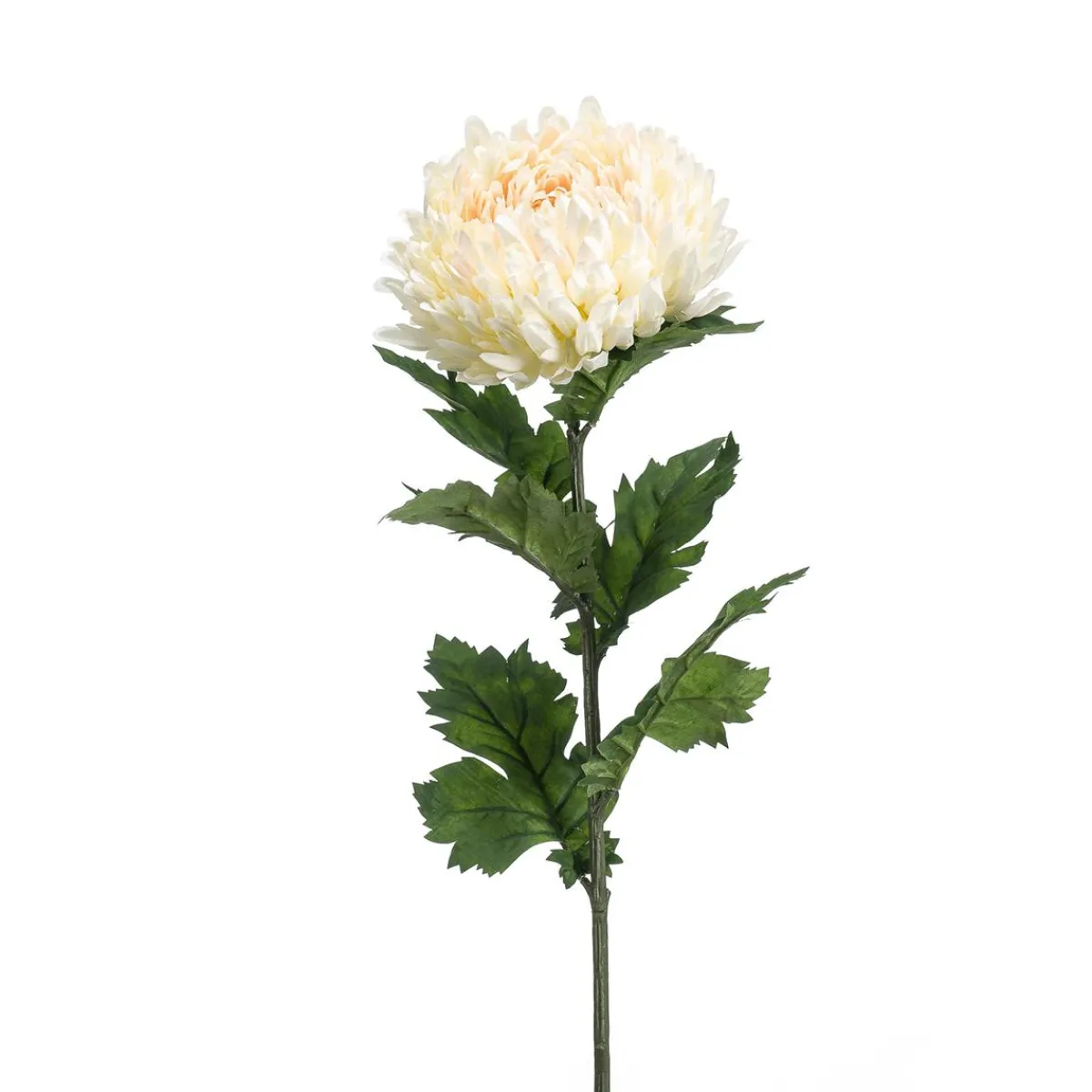 Online DecoWoerner Künstliche Chrysantheme, , 75 Cm weiß