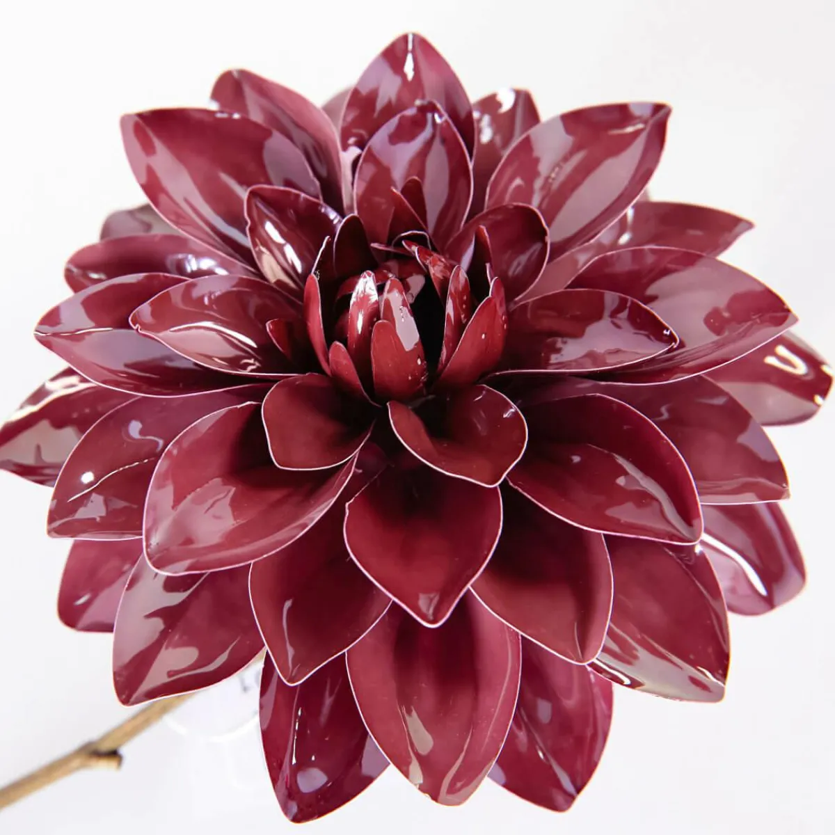Outlet DecoWoerner Künstliche Dahlie 56 Cm rot