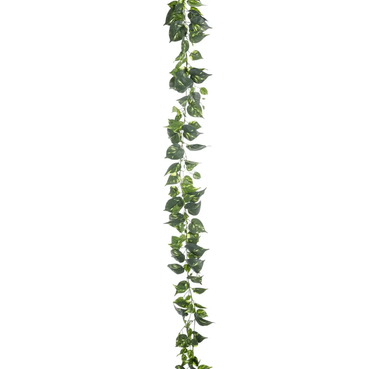 Sale DecoWoerner Künstliche Deko Pothos Girlande 220 Cm grün