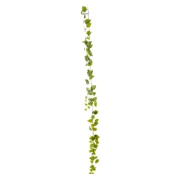 Clearance DecoWoerner Künstliche Efeu-Pothos-Girlande 170 Cm grün