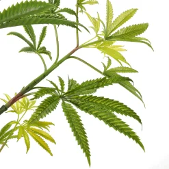 New DecoWoerner Künstliche Hanfpflanze Cannabis Pflanze 90 Cm grün
