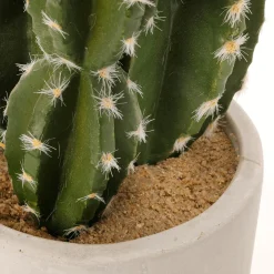 DecoWoerner Künstliche Kaktuspflanze Im Topf, 23 X 10 Cm grün