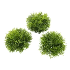 Clearance DecoWoerner Künstliche Mooshalbkugeln Pack à 3 Stück grün