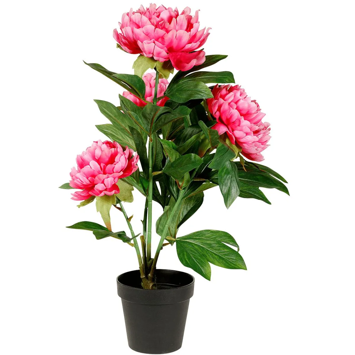 Best DecoWoerner Künstliche Pfingstrose Im Topf rosa