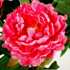 Best DecoWoerner Künstliche Pfingstrose Im Topf rosa
