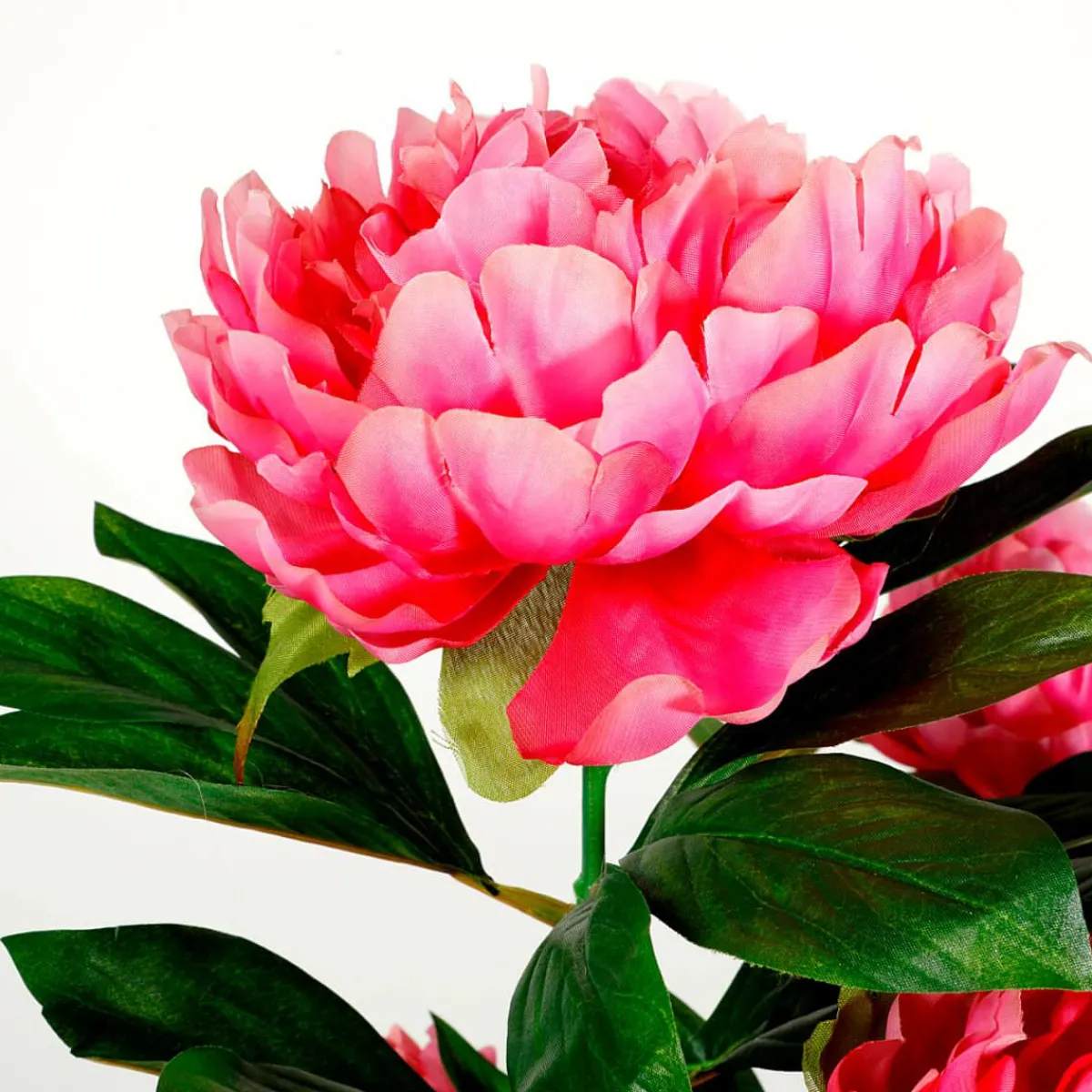 Best DecoWoerner Künstliche Pfingstrose Im Topf rosa