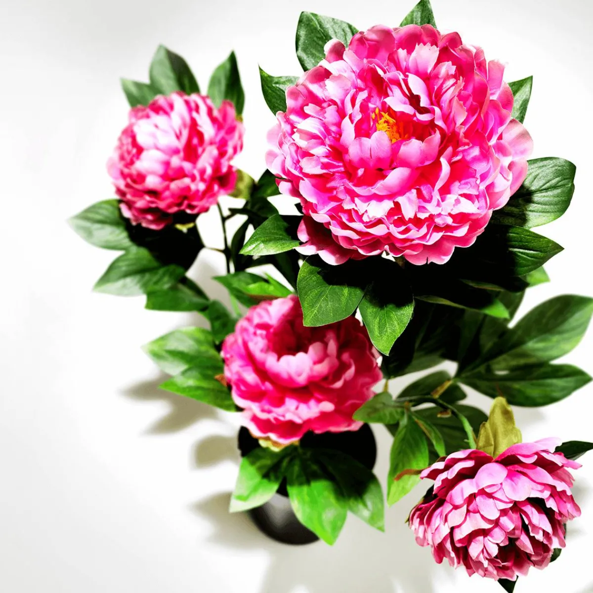Best DecoWoerner Künstliche Pfingstrose Im Topf rosa