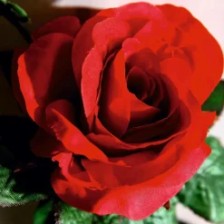 Hot DecoWoerner Künstliche Rosen-Girlande ,180 Cm rot