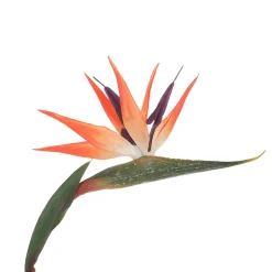 DecoWoerner Künstliche Strelitzien Paradiesvogel-Blume, 84 Cm orange