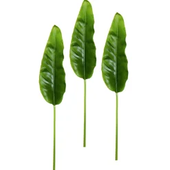Best DecoWoerner Künstliche Strelizienblätter 88 Cm, 3 Stück grün