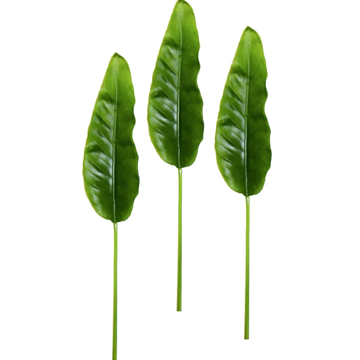 Best DecoWoerner Künstliche Strelizienblätter 88 Cm, 3 Stück grün