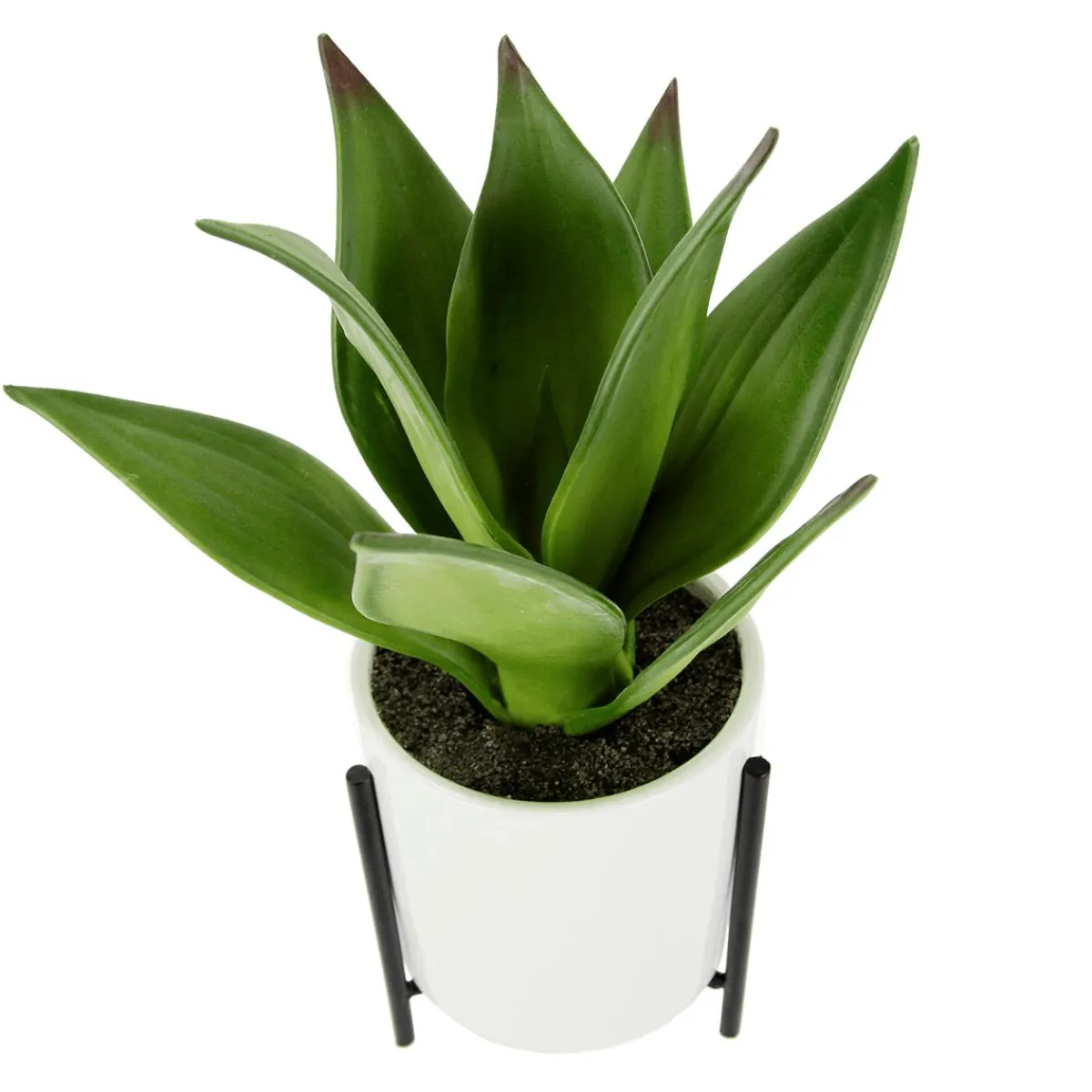 New DecoWoerner Künstliche Succulente Im Weißen Topf 27 Cm grün