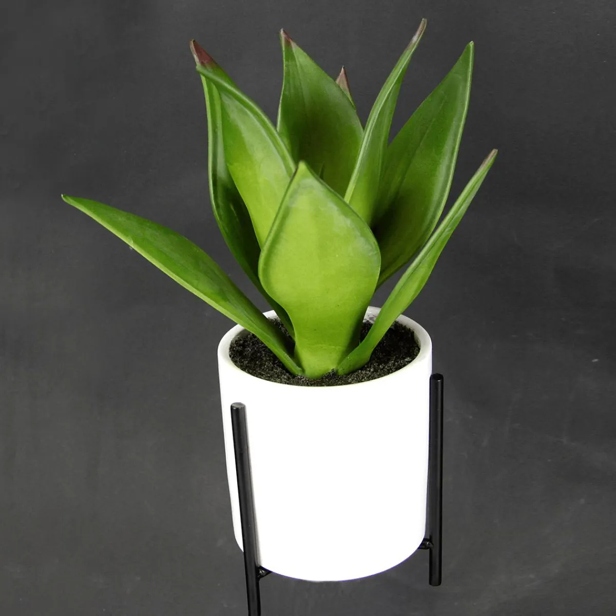 New DecoWoerner Künstliche Succulente Im Weißen Topf 27 Cm grün