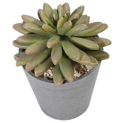 DecoWoerner Künstliche Sukkulente 20 Cm grün