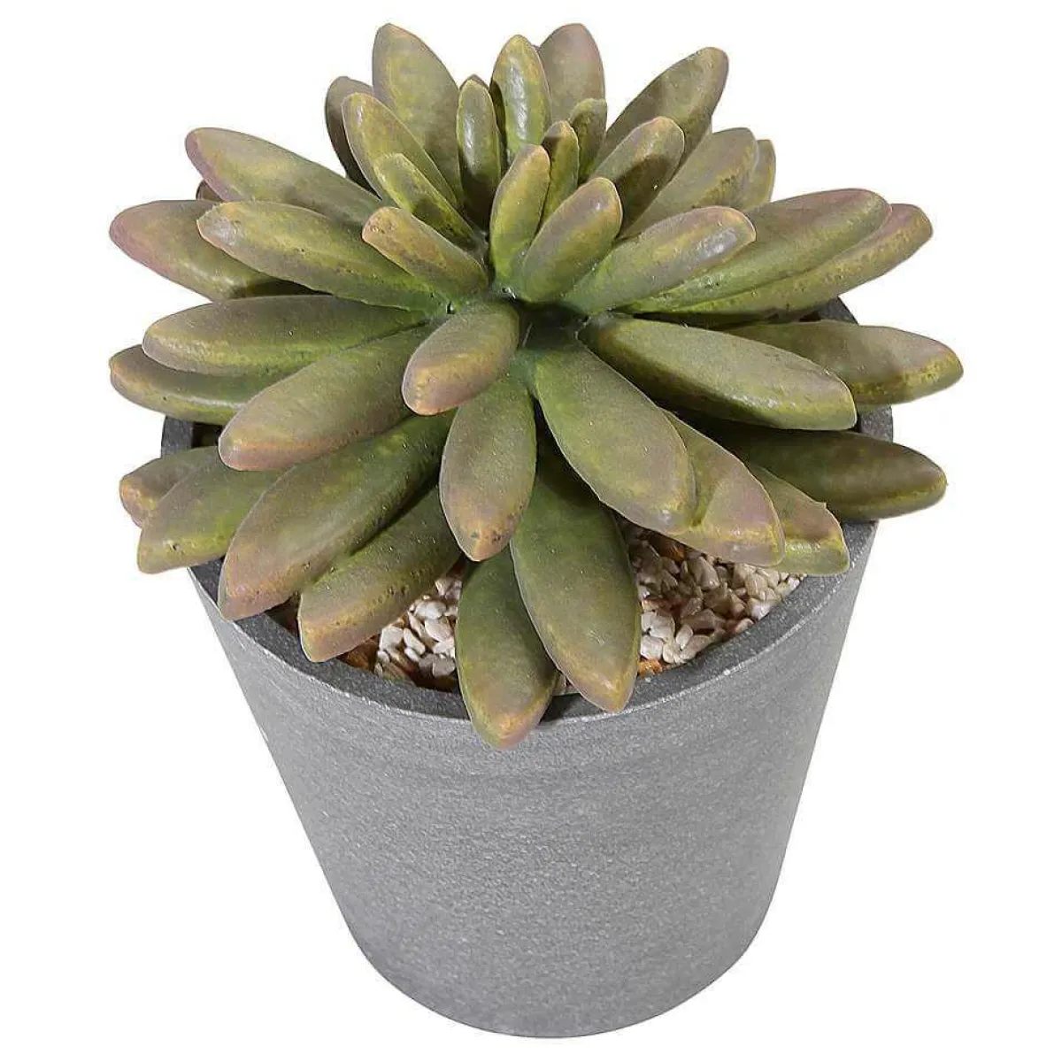 DecoWoerner Künstliche Sukkulente 20 Cm grün