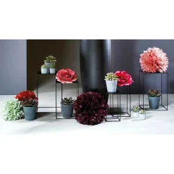 DecoWoerner Künstliche Sukkulente 20 Cm grün