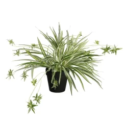 DecoWoerner Künstliche Wasserlilie Im Topf 40 Cm grün