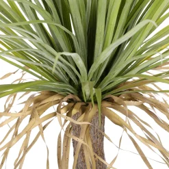 Discount DecoWoerner Künstliche Yucca Palme "wild" Im Topf 110 Cm grün