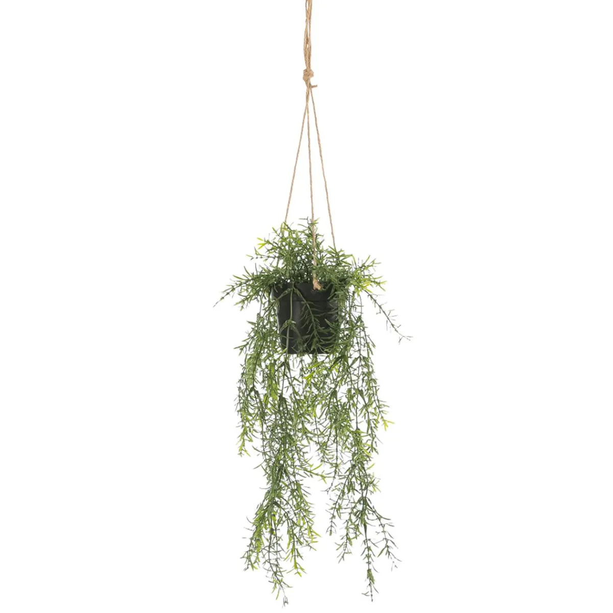 Outlet DecoWoerner Künstliche Zierspargel Asparagus Hänge-Ampel 20 X 50 Cm grün