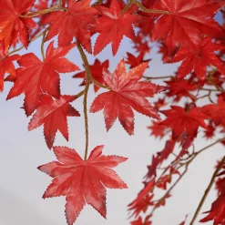 Sale DecoWoerner Künstlicher Ahorn Herbstbaum, 240 Cm rot