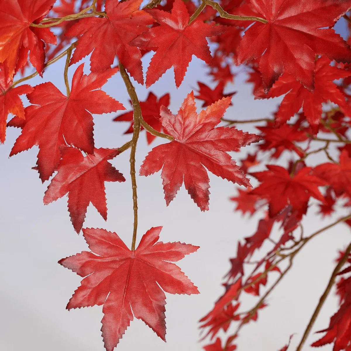 Sale DecoWoerner Künstlicher Ahorn Herbstbaum, 240 Cm rot