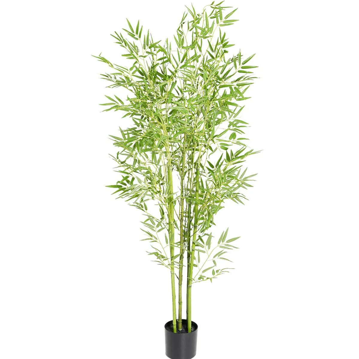 Clearance DecoWoerner Künstlicher Bambusbaum Im Topf grün