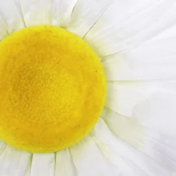 DecoWoerner Künstlicher Blütenkopf Gänseblümchen, 55 Cm Ø weiß